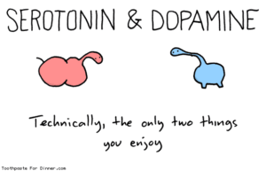 serotonin-and-dopamine (1)